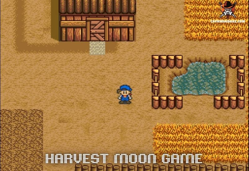 Top Tips for Success in the Latest Harvest Moon Game